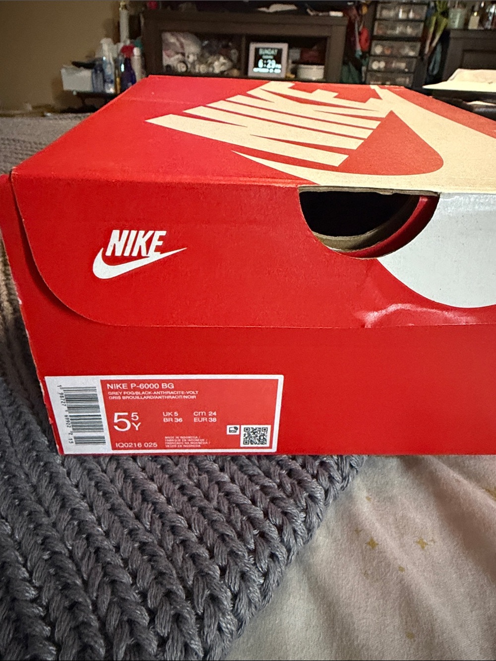 Nike Big Kids P6000